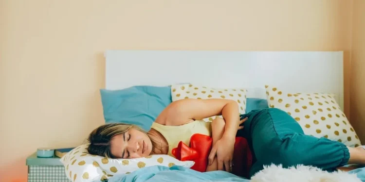 Foto: Martin-dm/ Getty Images