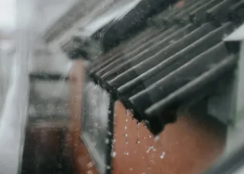 Foto: Carol Yepes/Getty Images