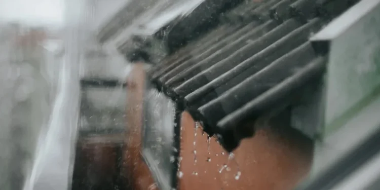 Foto: Carol Yepes/Getty Images