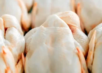 Expectativas são divergentes para as cotações da carne de frango em dezembro — Foto: Canva/Creative Commons