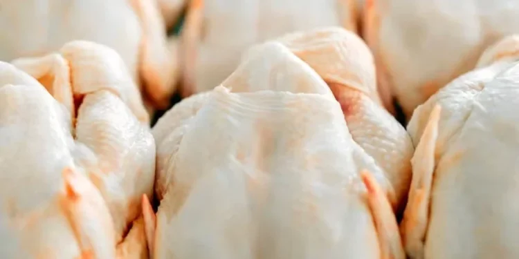 Expectativas são divergentes para as cotações da carne de frango em dezembro — Foto: Canva/Creative Commons