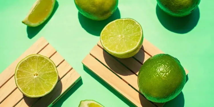 Foto: by vesi_127 / Getty Images