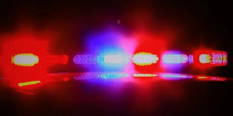 Foto: Douglas Sacha/Getty Images