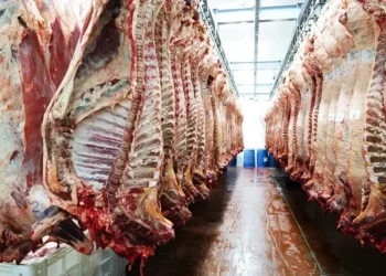 “Será mais um ano positivo para a carne, beneficiado por fatores domésticos”, afirma Andréa Angelo — Foto: Getty Images