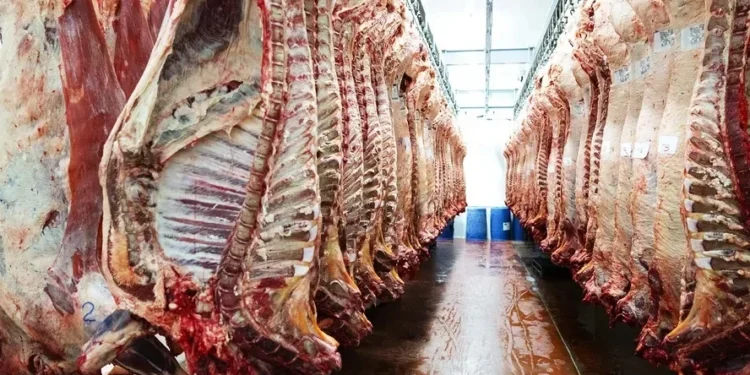 “Será mais um ano positivo para a carne, beneficiado por fatores domésticos”, afirma Andréa Angelo — Foto: Getty Images