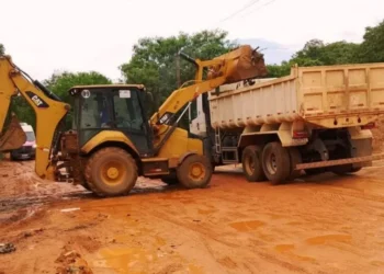 Foram necessárias seis viagens com caminhão basculante para retirada de todos os resíduos. Foto: Divulgação