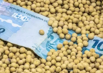 Dívidas rurais deve impactar setor no próximo ano, diz CNA — Foto: Getty Images