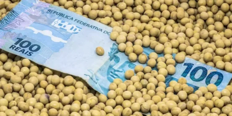 Dívidas rurais deve impactar setor no próximo ano, diz CNA — Foto: Getty Images