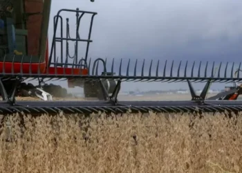 Colheita mundial de soja na safra 2025/26 é estimada em 422,54 milhões de toneladas — Foto: Gilson Abreu/Arquivo AEN