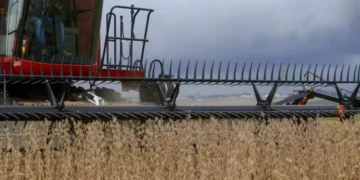 Colheita mundial de soja na safra 2025/26 é estimada em 422,54 milhões de toneladas — Foto: Gilson Abreu/Arquivo AEN