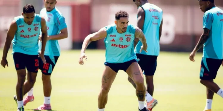 Adriano Fontes/Flamengo