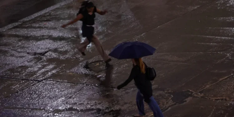 Foto: VINÍCIUS SCHMIDT/METRÓPOLES @vinicius.foto