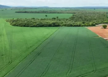(Foto: Ascom Prrefeitura de Porto Nacional).