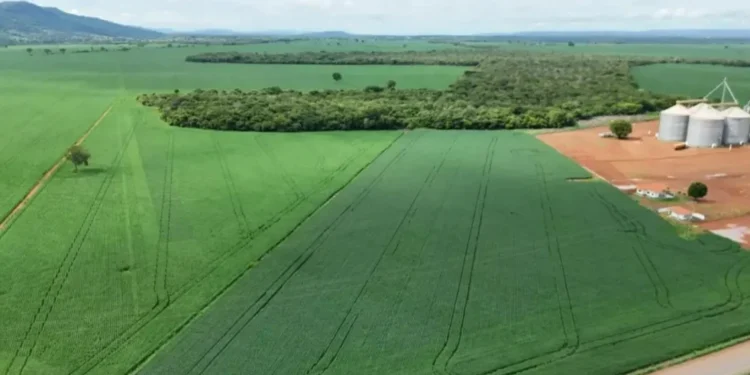 (Foto: Ascom Prrefeitura de Porto Nacional).