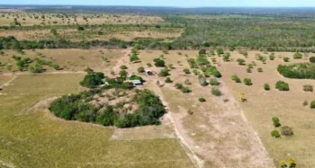 Fazenda em Colinas do Tocantins. (Foto: Ruraliza Negócios).