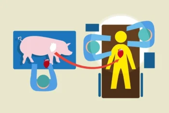 Foto:Crystaleyestudio/ Getty Images