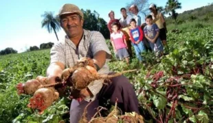 (Foto: Roberto Castro).