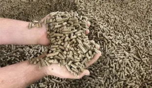 Pellets produzidos pela Bricofee a partir da borra de café — Foto: Geraldo Aureliano/Sakey