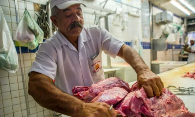 Faga Almeida/UCG/Universal Images Group via Getty Images