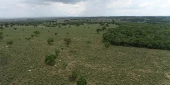 Proprietário de fazenda foi multado em mais de R$ 1,6 milhão. (Foto: Divulgação/BPMA).