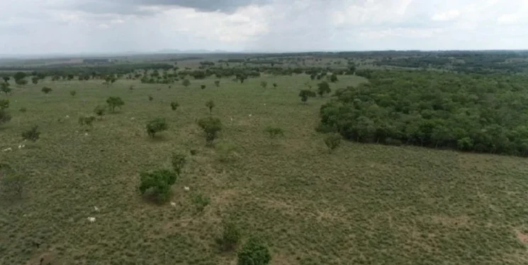 Proprietário de fazenda foi multado em mais de R$ 1,6 milhão. (Foto: Divulgação/BPMA).