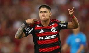 Adriano Fontes/Flamengo