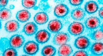 Callista Images/Gettyimages