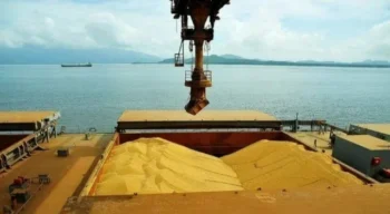 (Fonte: Ivan Bueno/APPA).