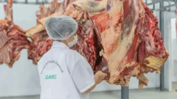 Indústria foi acompanhada e orientada pela Adapec para realizar todas as adequações em sua linha de produção. (Foto: Keven Lopes/Governo do Tocantins).