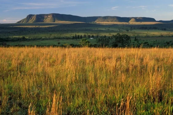 Foto: Ricardo Siqueira/Brazil Photos/LightRocket via Getty Images