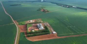 Fazenda Alto da Serra, zona rural de Porto Nacional (TO). (Imagem: Guilherme Soares/Canal Rural BA).