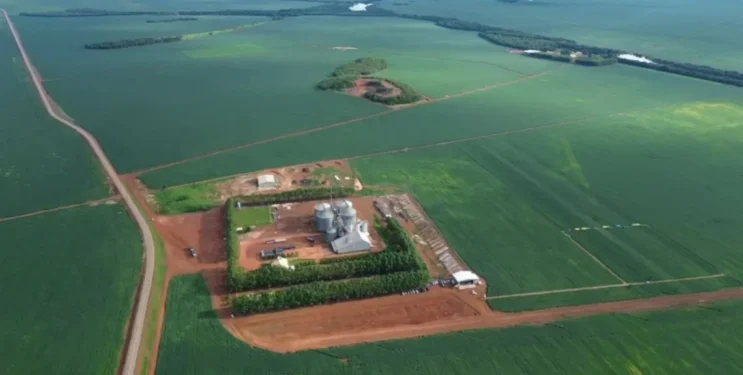 Fazenda Alto da Serra, zona rural de Porto Nacional (TO). (Imagem: Guilherme Soares/Canal Rural BA).