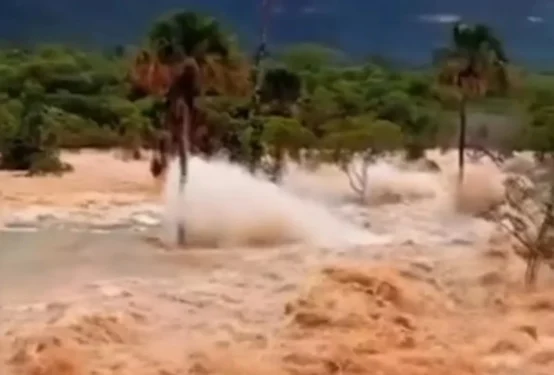 Foto: Reprodução/Redes sociais