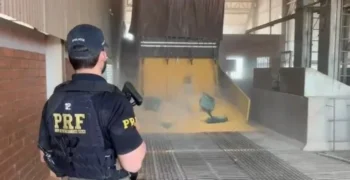 (Foto: PRF Tocantins).