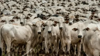(Foto: Governo de Mato Grosso).