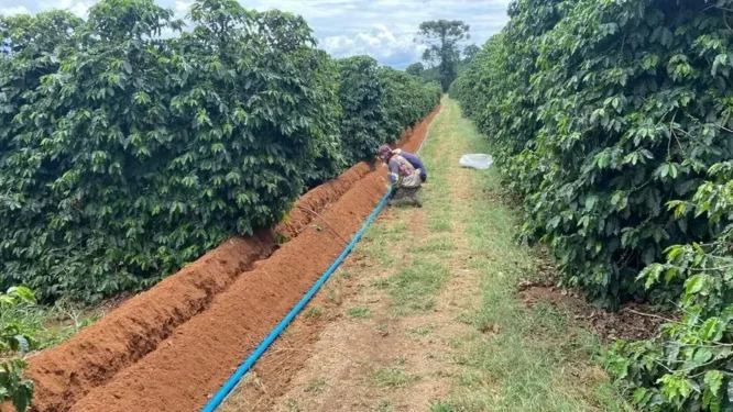 Instalação de irrigação nos cafezais do produtor Claudeci Divino de Araújo Junior, em Nova Resende (MG) — Foto: Arquivo pessoal