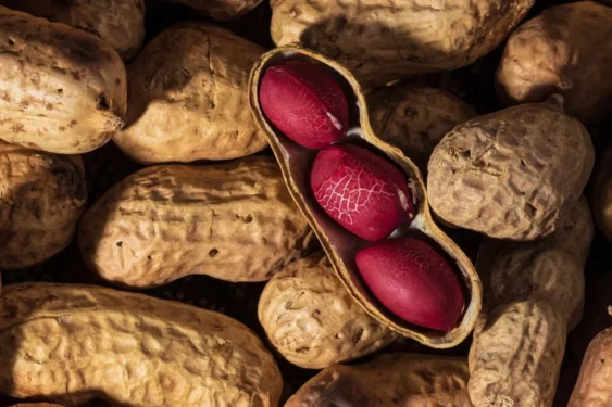 Muhammad Owais Khan/Getty Images