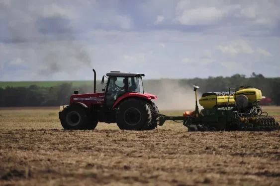 Lavouras implantadas no início do período apresentam elevado vigor vegetativo — Foto: Globo Rural