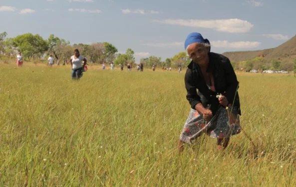 Crédito: Fernando Alves/Governo do Tocantins