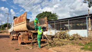 Equipes retiram galhadas no setor Jardim Taquari após vendaval – Foto Flora Pereira