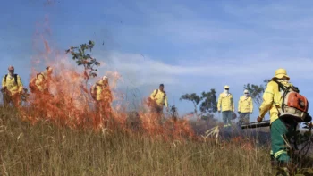 Os avanços registrados são resultados da execução de um plano de ação, que orientou de forma integrada as estratégias de prevenção, monitoramento e combate aos incêndios florestais - Walker Ribeiro/Governo do Tocantins