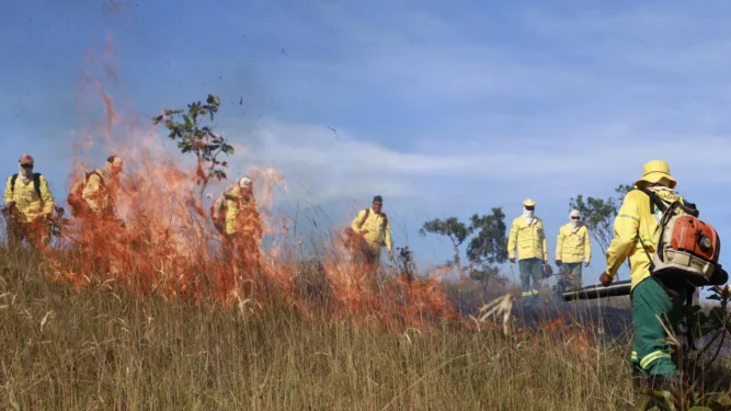 Os avanços registrados são resultados da execução de um plano de ação, que orientou de forma integrada as estratégias de prevenção, monitoramento e combate aos incêndios florestais - Walker Ribeiro/Governo do Tocantins