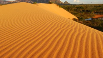 O Jalapão se destaca tanto por suas paisagens deslumbrantes quanto pela riqueza de biodiversidade, atraindo turistas e pesquisadores - Washington Luiz/Governo do Tocantins