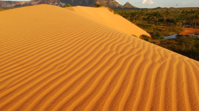 O Jalapão se destaca tanto por suas paisagens deslumbrantes quanto pela riqueza de biodiversidade, atraindo turistas e pesquisadores - Washington Luiz/Governo do Tocantins