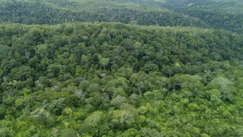 Em relação ao desmatamento, a queda foi expressiva, com redução de 21,6% na comparação com o ano passado.Fernando Alves/Governo do Tocantins.