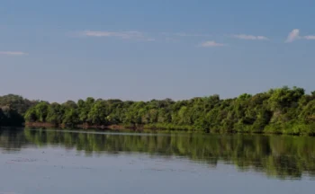Naturatins define novas regras para a medição e o automonitoramento do uso da água em rios, lagos e aquíferos de domínio do Estado - Foto: Fernando Alves/Governo do Tocantins