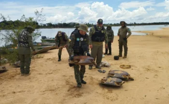 Naturatins intensificou ações de fiscalização e educação ambiental em diversas regiões do Estado. Foto: Naturatins/Governo do Tocantins.