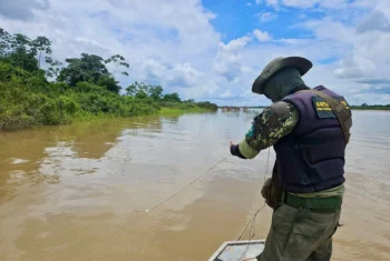 Foto: Naturatins/Governo do Tocantins