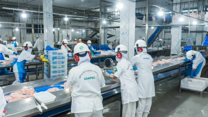 O Tocantins possui 47 agroindústrias com registro no SIE. Foto - Keven Lopes / Governo do Tocantins