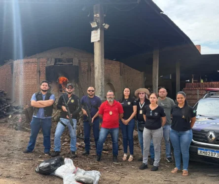 Fotos Polícia Civil do Tocantins